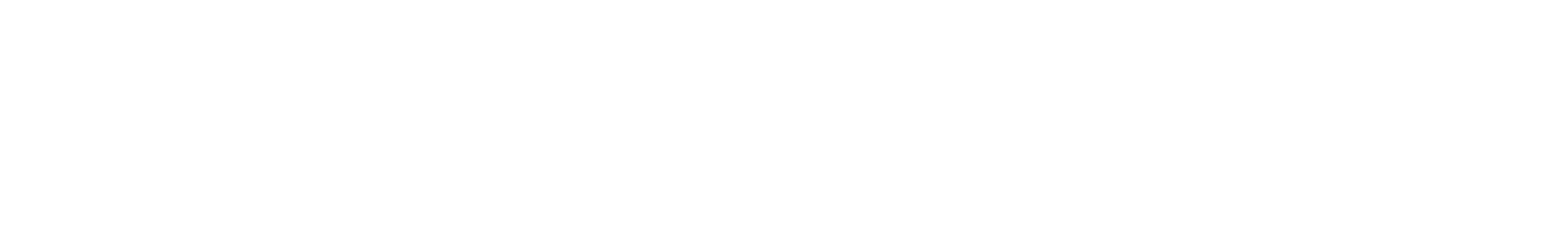 Momentum